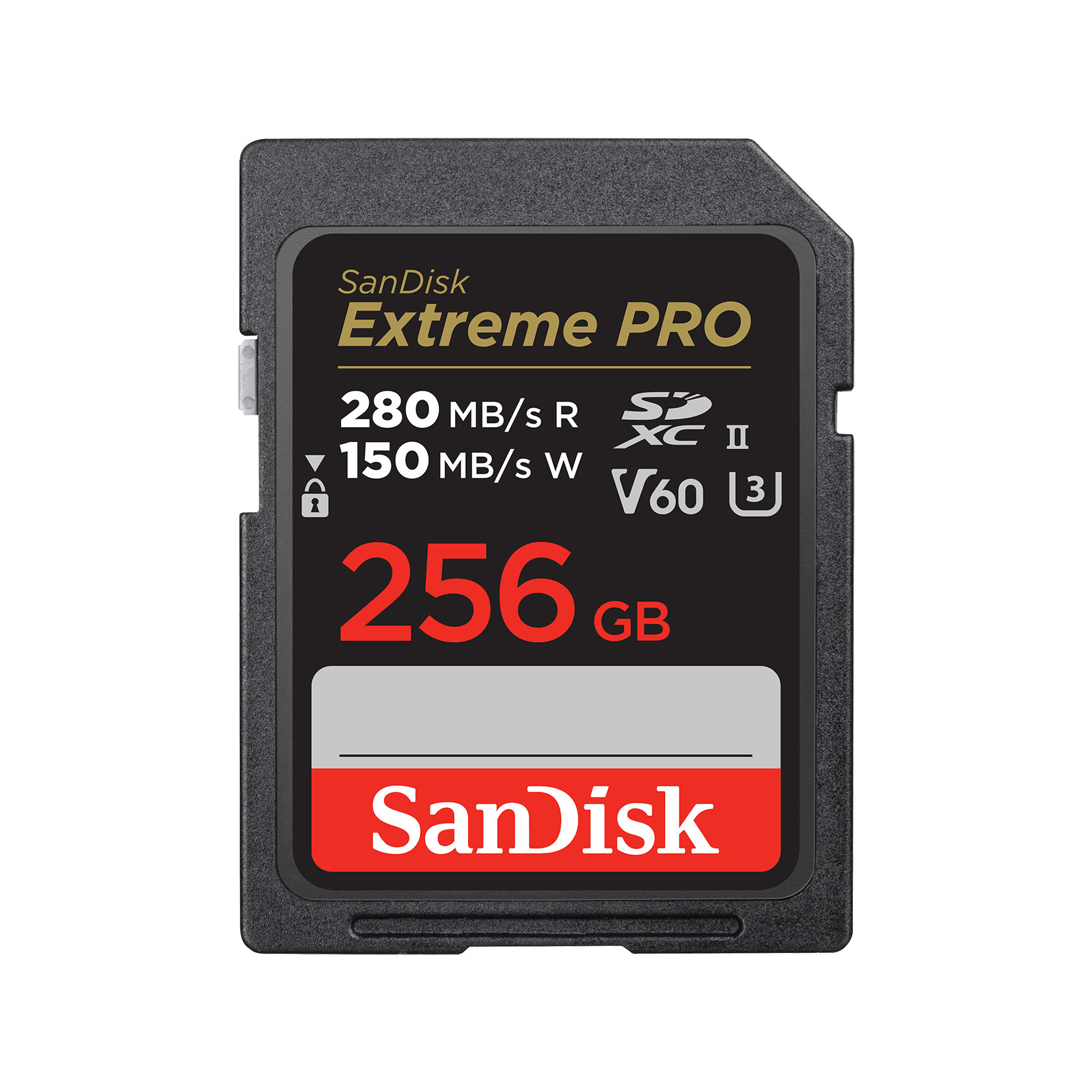 sandisk extreme 256gb